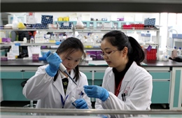Phát triển thành công vắcxin ngừa H7N9